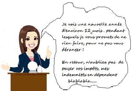 Voeux 2017 de la mairesse 1